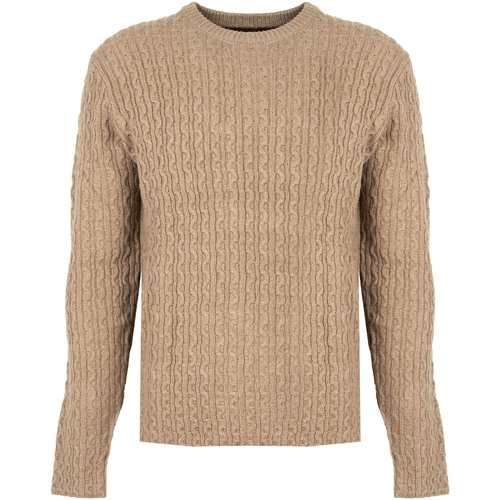 tekstylia Męskie Swetry Pepe jeans PM702278 | New Jules Beżowy