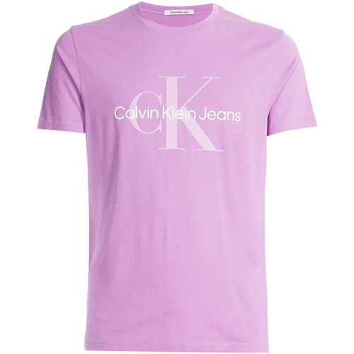 tekstylia Męskie T-shirty z krótkim rękawem Calvin Klein Jeans J30J320806 Fioletowy