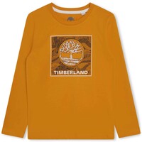 tekstylia Chłopiec T-shirty z krótkim rękawem Timberland T25U36-575-C Żółty