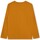 tekstylia Chłopiec T-shirty z krótkim rękawem Timberland T25U36-575-J Żółty