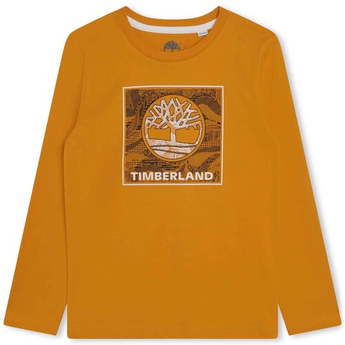 tekstylia Chłopiec T-shirty z krótkim rękawem Timberland T25U36-575-J Żółty