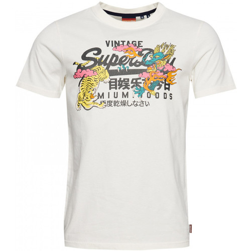 tekstylia Męskie T-shirty i Koszulki polo Superdry Vintage vl narrative Biały