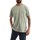 tekstylia Męskie T-shirty z krótkim rękawem Napapijri NP0A4GBP Zielony