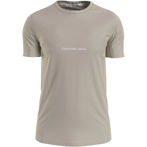 tekstylia Męskie T-shirty z krótkim rękawem Calvin Klein Jeans J30J322848 Beżowy