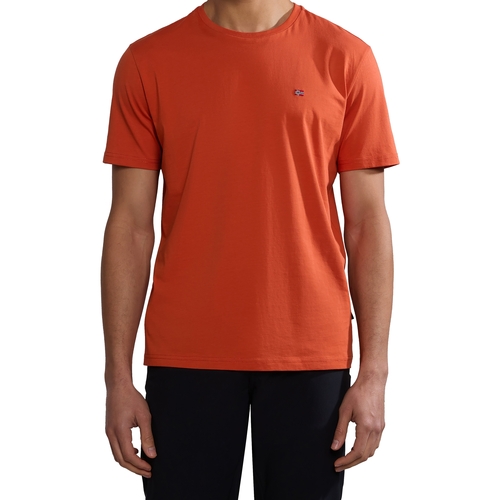 tekstylia Męskie T-shirty z krótkim rękawem Napapijri 236346 Pomarańczowy