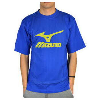 tekstylia Męskie T-shirty i Koszulki polo 13 Mizuno t.shirt logo Niebieski