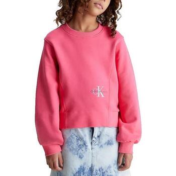 tekstylia Dziewczynka Bluzy Calvin Klein Jeans  Różowy