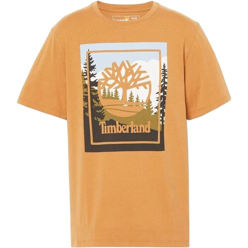tekstylia Męskie T-shirty z krótkim rękawem Timberland 212160 Żółty