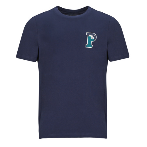 tekstylia Męskie T-shirty z krótkim rękawem Puma PUMA SQUAD BADGE TEE Marine