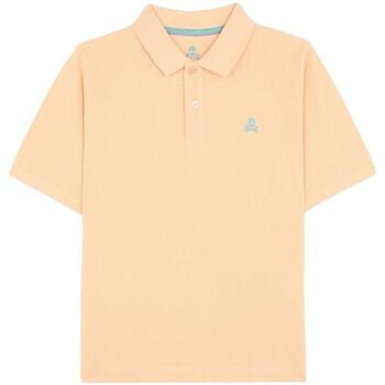 tekstylia Chłopiec T-shirty z krótkim rękawem Scalpers  Pomarańczowy