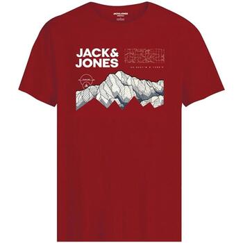 tekstylia Chłopiec T-shirty z krótkim rękawem Jack & Jones  Czerwony