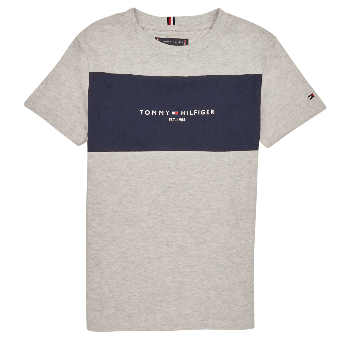 tekstylia Chłopiec T-shirty z krótkim rękawem Tommy Hilfiger ESSENTIAL COLORBLOCK TEE S/S Szary