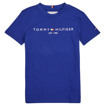 tekstylia Dziecko T-shirty z krótkim rękawem Tommy Hilfiger ESTABLISHED LOGO Niebieski