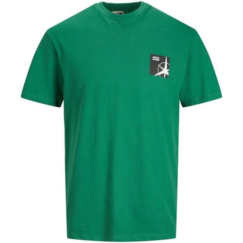 tekstylia Męskie T-shirty z krótkim rękawem Jack & Jones  Zielony