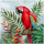 Dom Obrazy Signes Grimalt Loro Bird Box Czerwony