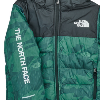 The North Face Boys Never Stop Synthetic Jacket Zielony