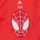 tekstylia Chłopiec T-shirty z krótkim rękawem Adidas Sportswear LB DY SM T Czerwony / Biały