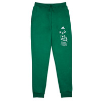 tekstylia Chłopiec Spodnie dresowe Adidas Sportswear BLUV Q3 PANT Zielony / Biały