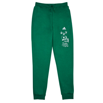 Adidas Sportswear BLUV Q3 PANT Zielony / Biały