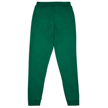 Adidas Sportswear BLUV Q3 PANT Zielony / Biały