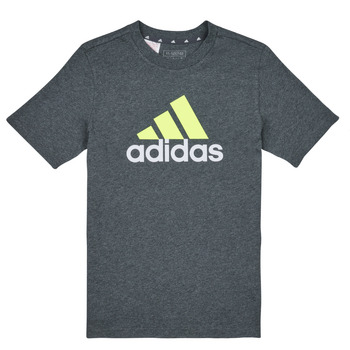 tekstylia Chłopiec T-shirty z krótkim rękawem Adidas Sportswear BL 2 TEE Szary / Biały / Zielony