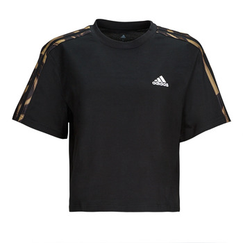 tekstylia Damskie T-shirty z krótkim rękawem Adidas Sportswear VIBAOP 3S CRO T Czarny / Dore