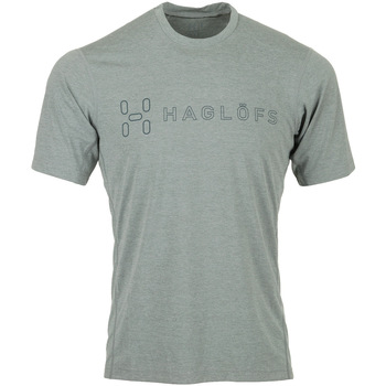 tekstylia Męskie T-shirty z krótkim rękawem Haglöfs Ridge II Tee Szary