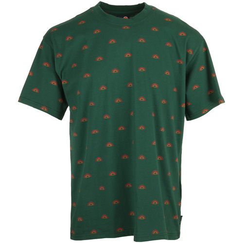 tekstylia Męskie T-shirty z krótkim rękawem Ellesse Sanya Tee Zielony