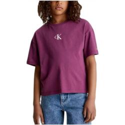 tekstylia Dziewczynka T-shirty z krótkim rękawem Calvin Klein Jeans  Fioletowy