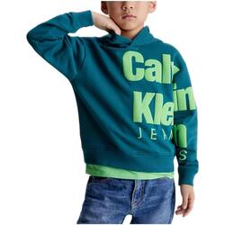 tekstylia Chłopiec Bluzy Calvin Klein Jeans  Zielony