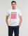 tekstylia Męskie T-shirty z krótkim rękawem Esprit OCS LOGO STRIPE Biały