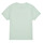 tekstylia Dziewczynka T-shirty z krótkim rękawem Vans FLYING V CREW GIRLS Zielony / Różowy