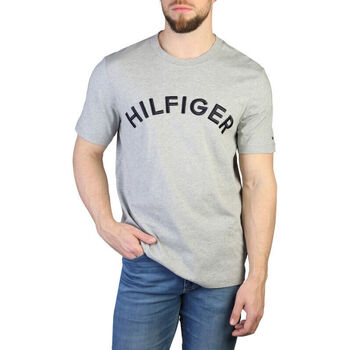 tekstylia Męskie T-shirty z krótkim rękawem Tommy Hilfiger - mw0mw30055 Szary