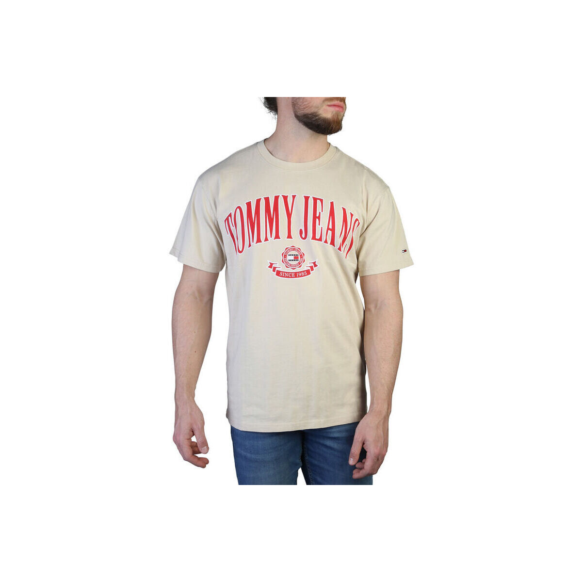 tekstylia Męskie T-shirty z krótkim rękawem Tommy Hilfiger - dm0dm16400 Brązowy