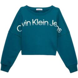 tekstylia Dziewczynka Bluzy Calvin Klein Jeans  Zielony