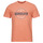 tekstylia Męskie T-shirty z krótkim rękawem Quiksilver CIRCLE UP SS Koral