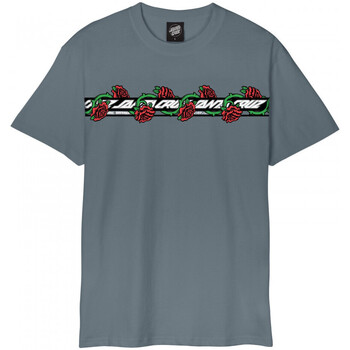 tekstylia Męskie T-shirty i Koszulki polo Santa Cruz Dressen roses ever-slick Szary