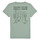 tekstylia Chłopiec T-shirty z krótkim rękawem Levi's CACTI CLUB TEE Niebieski