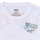 tekstylia Chłopiec T-shirty z krótkim rękawem Levi's SCENIC SUMMER TEE Wielokolorowy / Biały