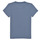 tekstylia Chłopiec T-shirty z krótkim rękawem Levi's SURFS UP TEE Niebieski