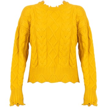 tekstylia Damskie Swetry Pinko 1G166W Y79B | Chianti Żółty