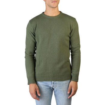 tekstylia Męskie Swetry 100% Cashmere Jersey Zielony