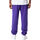 tekstylia Męskie Spodnie dresowe New-Era NBA Joggers Lakers Fioletowy