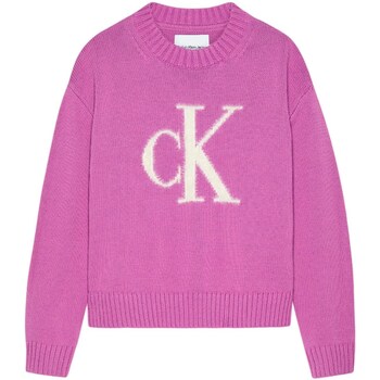 tekstylia Dziewczynka Swetry Calvin Klein Jeans IG0IG02220 Fioletowy