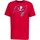 tekstylia Męskie T-shirty z krótkim rękawem Nike  Czerwony