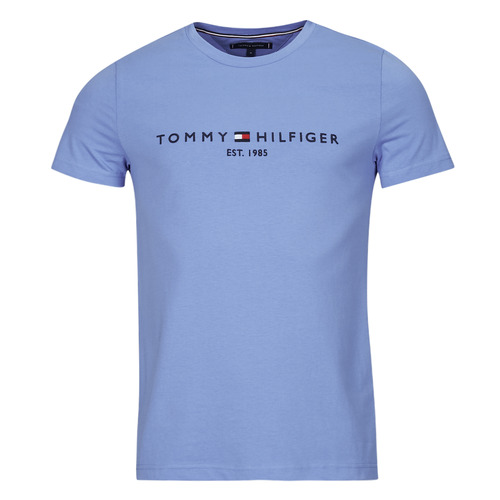tekstylia Męskie T-shirty z krótkim rękawem Tommy Hilfiger TOMMY LOGO TEE Niebieski