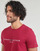 tekstylia Męskie T-shirty z krótkim rękawem Tommy Hilfiger TOMMY LOGO TEE Bordeaux