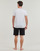 tekstylia Męskie T-shirty z krótkim rękawem Tommy Hilfiger MONOTYPE STRIPE Biały