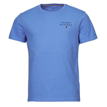 tekstylia Męskie T-shirty z krótkim rękawem Tommy Hilfiger CN SS TEE LOGO Niebieski