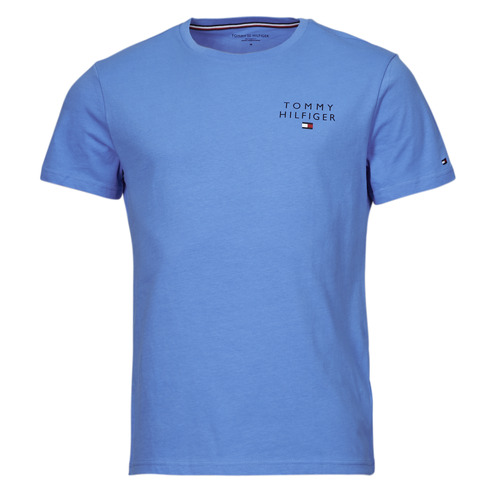 tekstylia Męskie T-shirty z krótkim rękawem Tommy Hilfiger CN SS TEE LOGO Niebieski